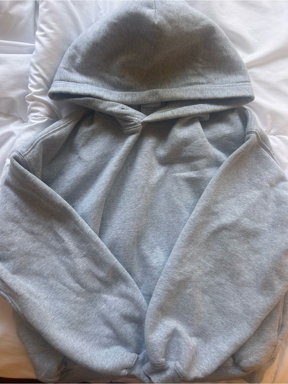 Grey Aritzia Hoodie Size xs